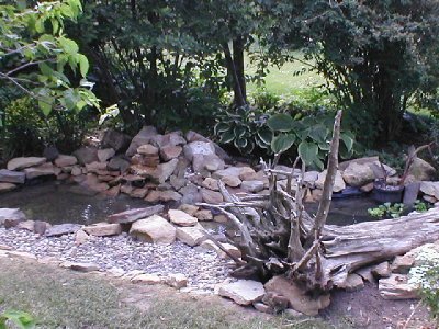 Pond view from deck.jpg