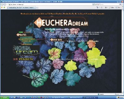 Heucheradream-website.jpg