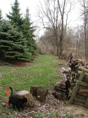 Standing near the fire pit.