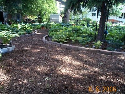 Hardwood mulch