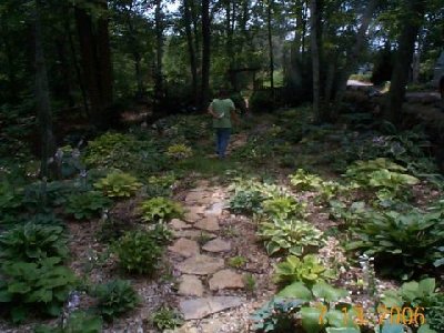 Flagstone stepping stones.