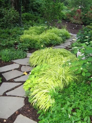 grass.jpg